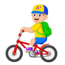 Cycle VTT pour les écoliers