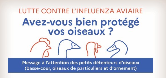 Lutte contre l´influenza aviaire